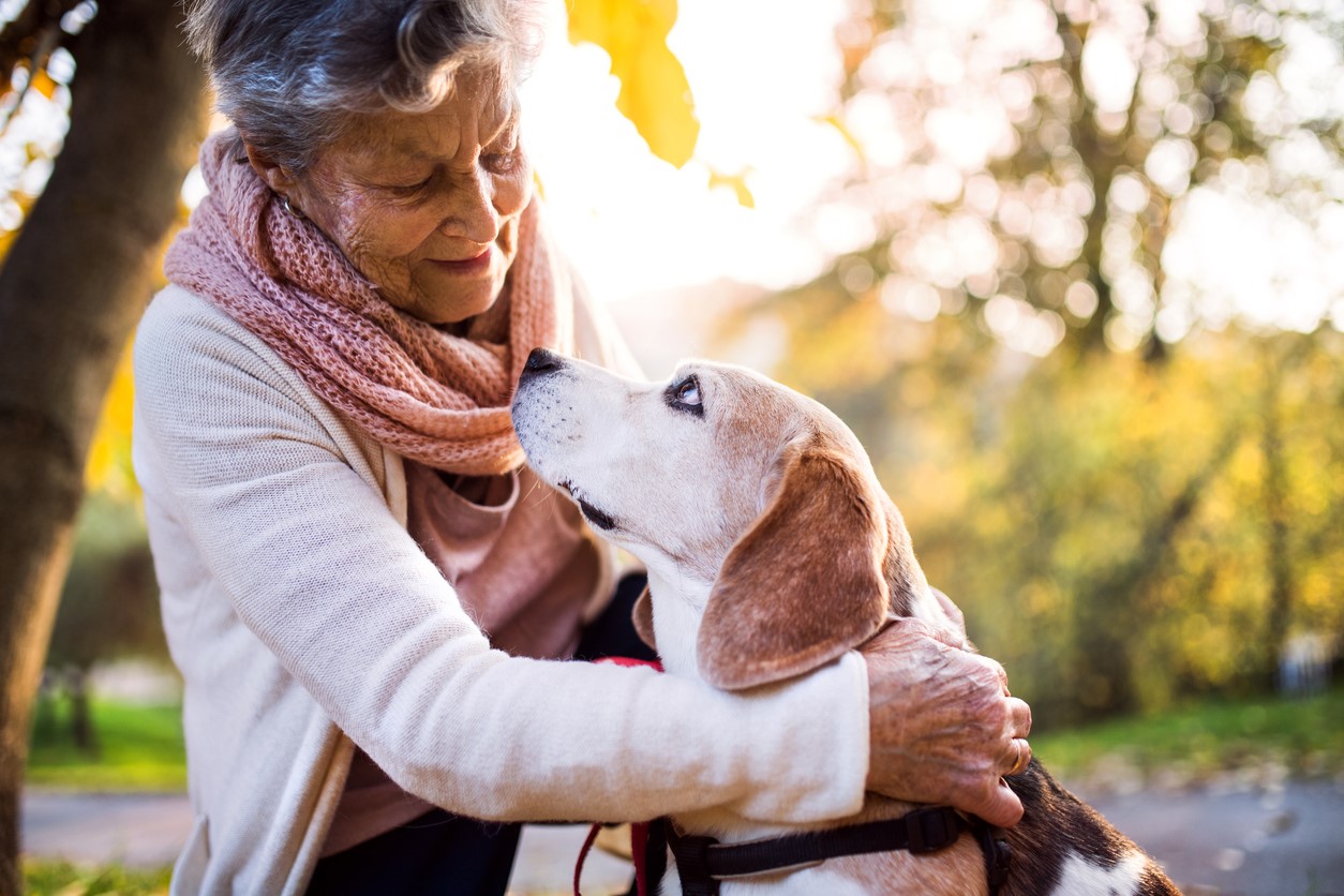 Elderly woman hugging dog